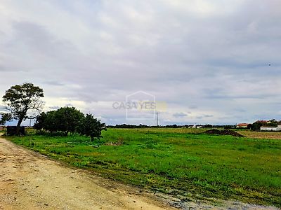 listing-picture-0