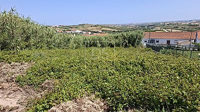 listing-picture-0