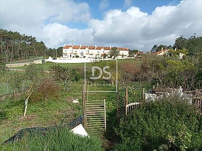 listing-picture-0