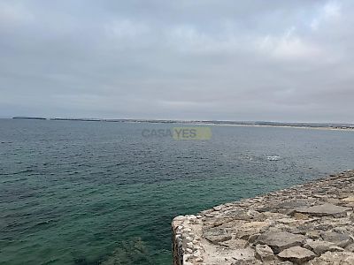 listing-picture-0