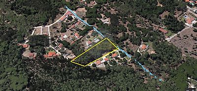 listing-picture-0