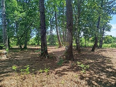 listing-picture-0