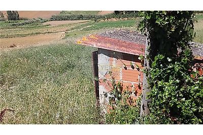listing-picture-0
