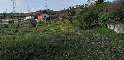 listing-picture-0