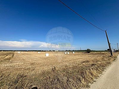 listing-picture-0