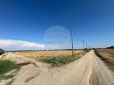 listing-picture-0