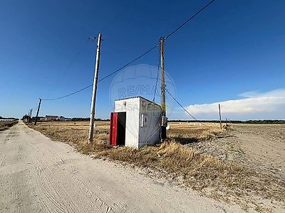 listing-picture-0