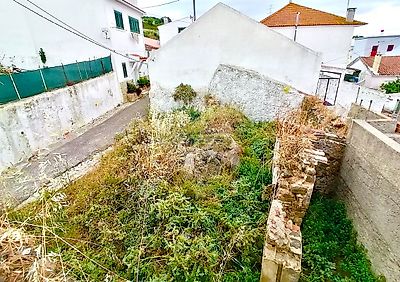 listing-picture-0