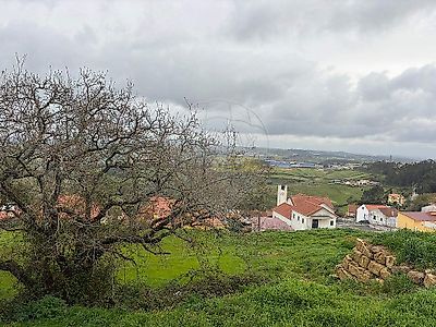 listing-picture-0