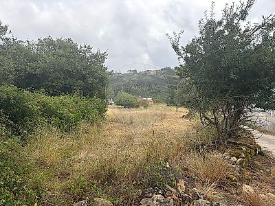listing-picture-0