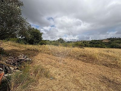 listing-picture-0