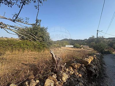 listing-picture-0