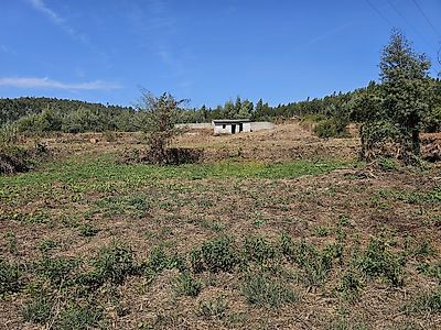 listing-picture-0
