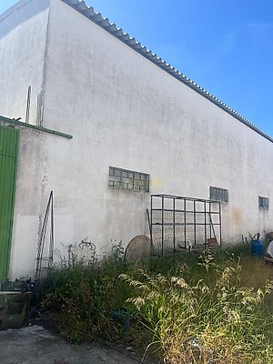 listing-picture-0