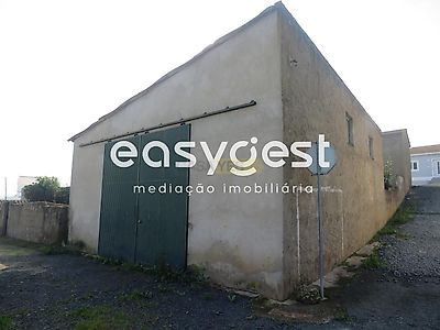 listing-picture-0