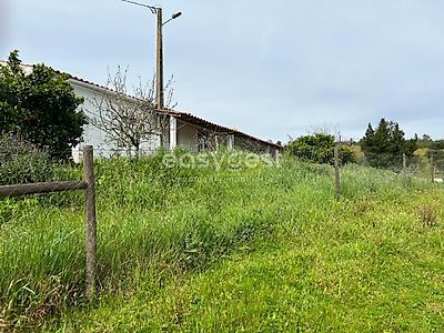 listing-picture-0
