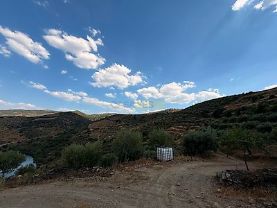 listing-picture-0