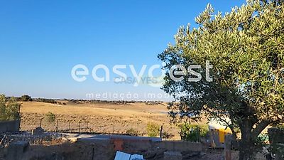 listing-picture-0