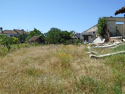 listing-picture-0