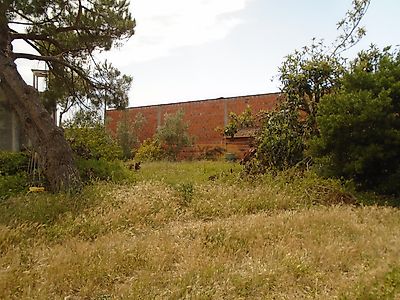 listing-picture-0