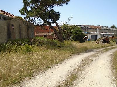 listing-picture-0