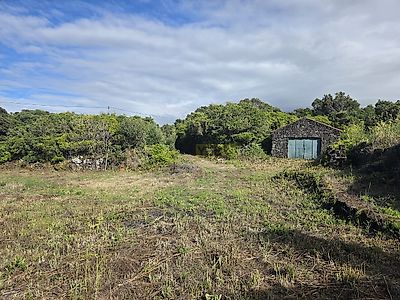 listing-picture-0