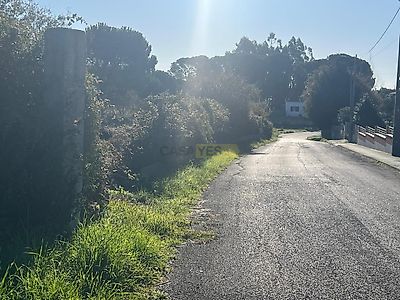 listing-picture-0