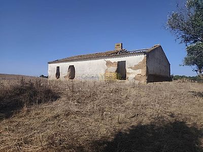 listing-picture-0
