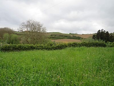listing-picture-0