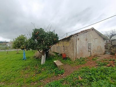 listing-picture-0