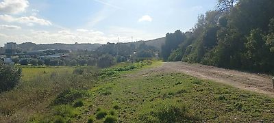 listing-picture-0