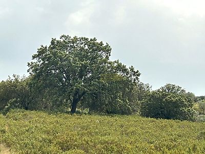 listing-picture-0