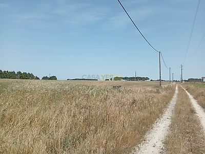 listing-picture-0