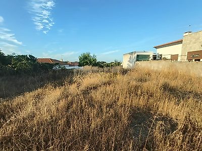listing-picture-0