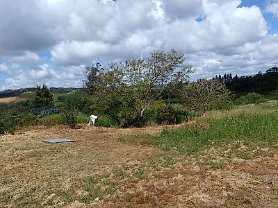 listing-picture-0