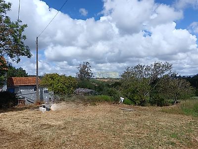 listing-picture-0