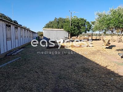 listing-picture-0