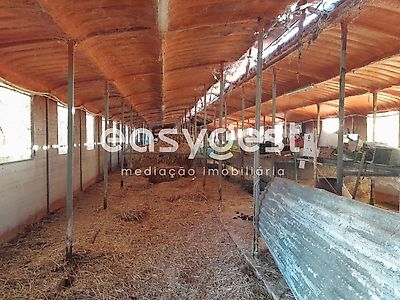 listing-picture-0