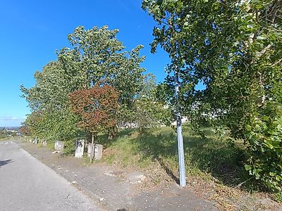 listing-picture-0