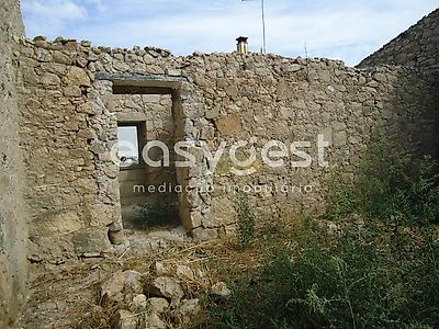listing-picture-0