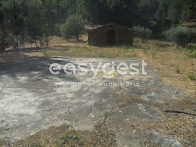 listing-picture-0
