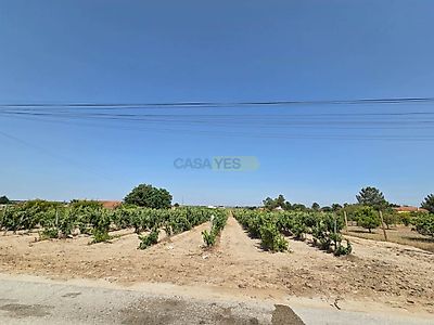 listing-picture-0