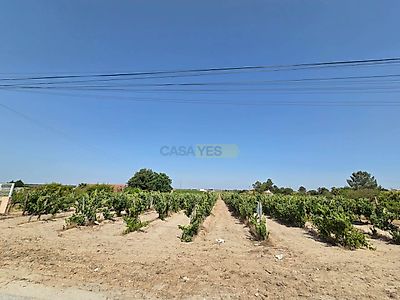 listing-picture-0