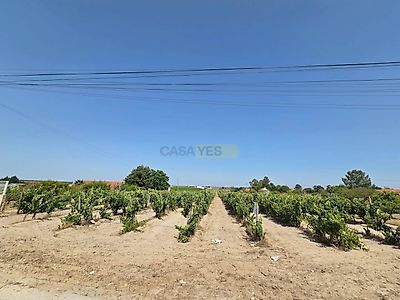 listing-picture-0