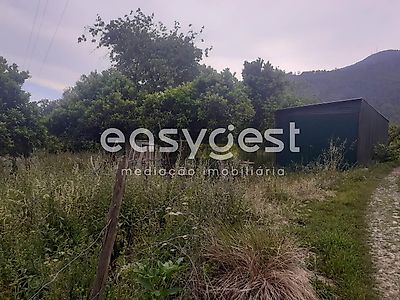 listing-picture-0