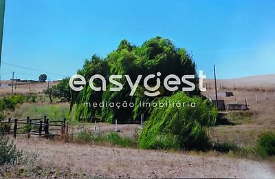 listing-picture-0