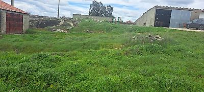 listing-picture-0