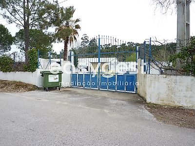 listing-picture-0