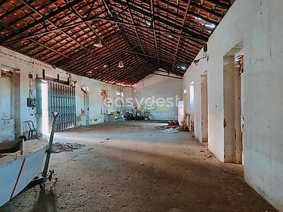 listing-picture-0