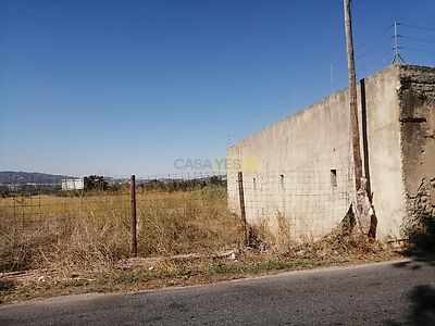 listing-picture-0